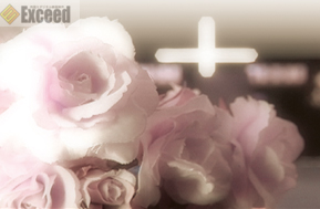 SAMPLE PHOTO6